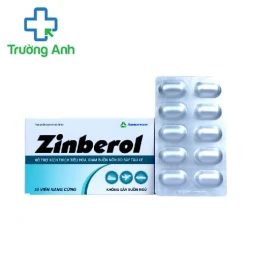 Zinberol Agimexpharm - Viên uống hỗ trợ làm giảm say tàu xe