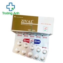 Zival - Thuốc điều trị đau xương khớp hiệu quả của Đông Nam