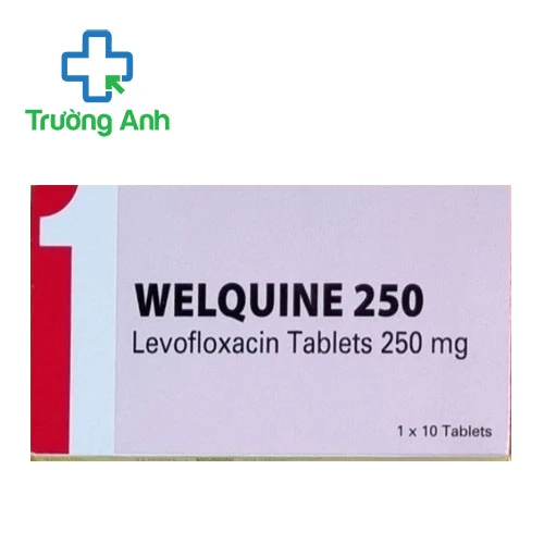 Welquine 250mg Akums - Thuốc điều trị nhiễm khuẩn hiệu quả